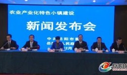 岳阳最新新闻爆料网,揭秘岳阳本土热点事件！