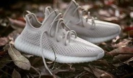 小椰子爆料视频大全最新,揭秘娱乐圈幕后真相